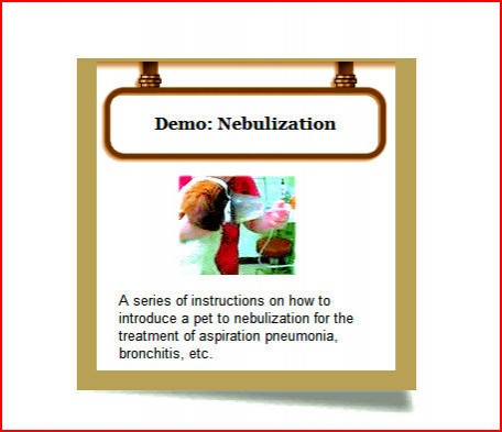 Nebulization_Demo.jpg
